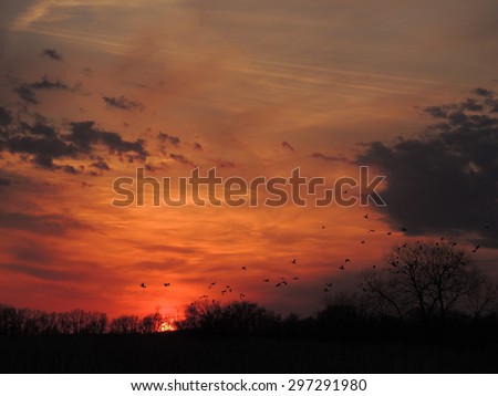 North Dakota, USA Sunset with Bird Silhouettes
