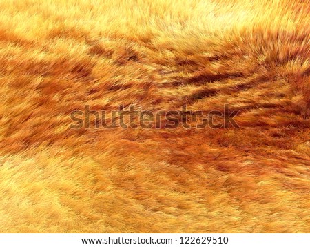Fox fur: Yellow and brown pattern or background. Useful for fashion