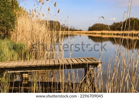 Drewniany krótki pomost na jeziorze dla rybaków lub podziwiających widoki.  przed nim trzcina i trawa Zdjęcia stock © 
