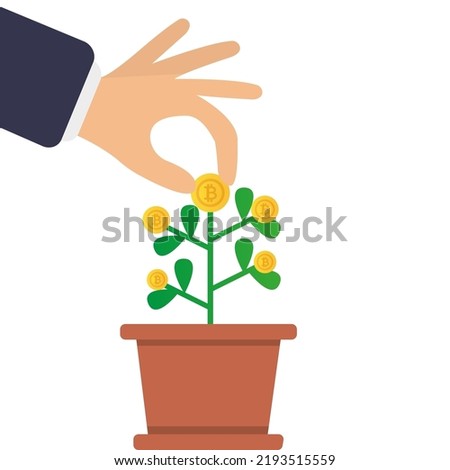 Money tree, money growth, investment. A hand tears off a golden digital currency coin, a golden digital coin grows out of a flower pot. Business investment icon concept. Vector illustration