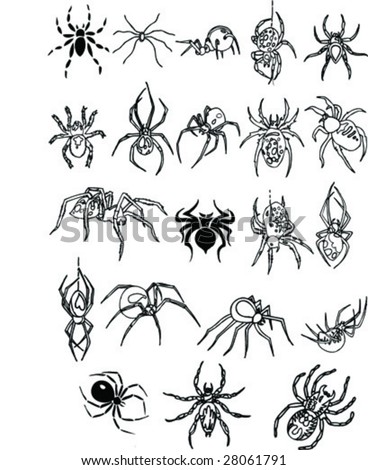 Spiders Collection Stock Vector Illustration 28061791 : Shutterstock