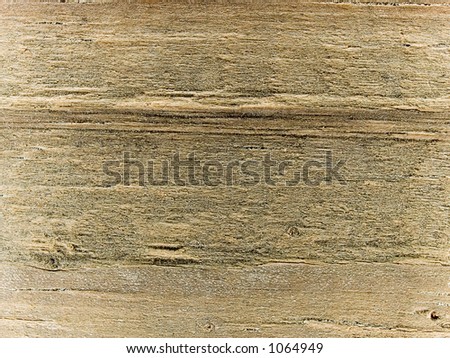Stock macro photo of the texture of gritty wood grain.  Useful for layer masks or abstract backgrounds.