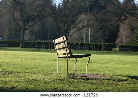 A park bench in Stanley Park