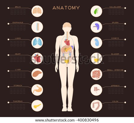 Dark medical poster with an image of internal organs. The organs are made in separate areas as icons, and in the middle of the poster is assembled together.