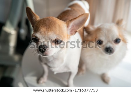 Shutterstock Puzzlepix Shutterstock Puzzlepix