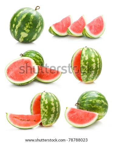 set of watermelon images
