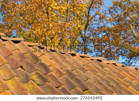 weathered roof tiles in an autumn settings