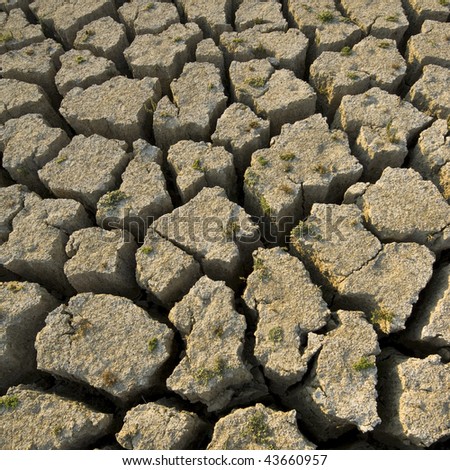 Dried river during a drought