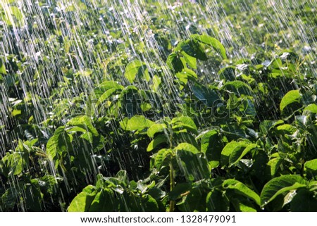 Rain Waters