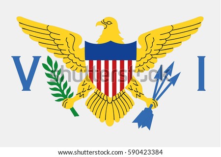 U.S. Virgin Islands flag vector