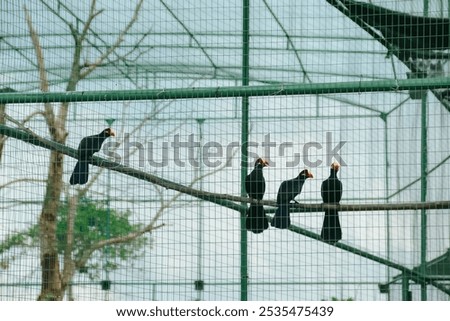 Similar – Image, Stock Photo Chains (1) Wall (barrier)