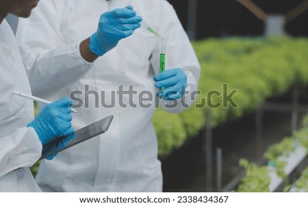 Similar – Image, Stock Photo Farmer controlling quality of Marijuana drying buds. Organic Cannabis Sativa Female Plants with CBD