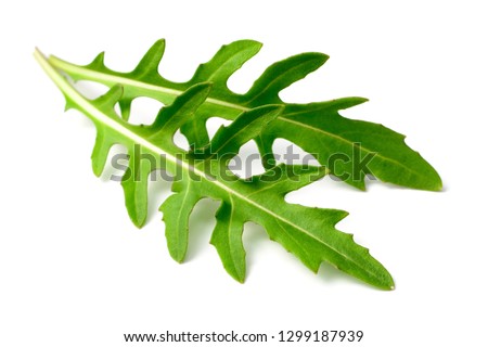 fresh arugula leaves isolated on white background Zdjęcia stock © 