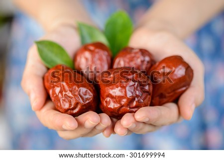 dried date fruit, dry jujube fruit in the hands