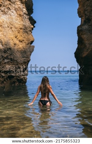 Similar – Image, Stock Photo Unrecognizable traveler between rough mountain and foamy sea
