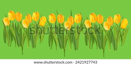 many yellow tulips on a green background