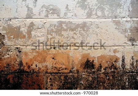 Grunge Background - mold/mildew and peeling pain on a cinder block wall