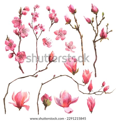Similar – Image, Stock Photo Pink Magnolia Tree with Blooming Flowers during Springtime