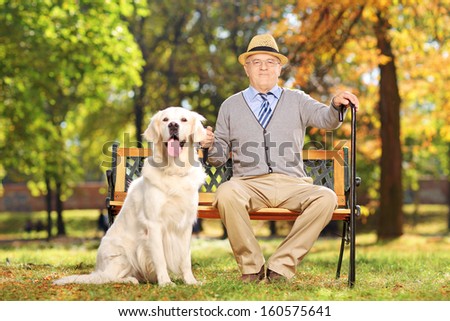 Confident senior gentleman sitting on a bench with his labrador retriever dog, in a park