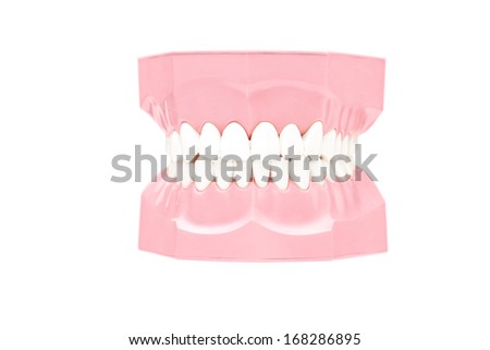 Studio shot of a dentures made out of plaster cast isolated on white background
