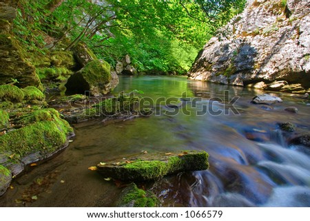 Rushing stream in the forest