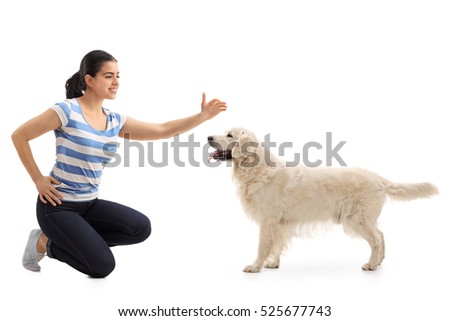 Similar – Image, Stock Photo young woman kneeling on floor feeding snacks to her cat