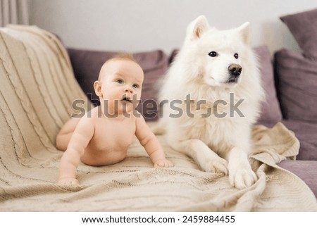 Similar – Image, Stock Photo Lovely and curious newborn lying down in her little bed