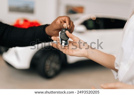 Similar – Image, Stock Photo unrecognizable young owner woman and her cute jack russell dog sitting at sunset outdoors