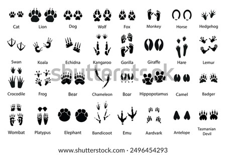 Animals paw prints. Pets trails. Vector set. Black traces of mammals and birds. Wild animal feet silhouette. Foot paws track tiger, cat , dog etc.  