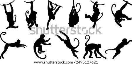 Monkeys vector, Monkeys siluet, monkeys style, set monkeys