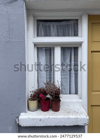 Similar – Image, Stock Photo three withered potted plants with tomatoes in front of urban facade