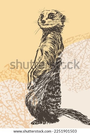 Realistic ink sketched meerkat suricata. Isolated vector illustration