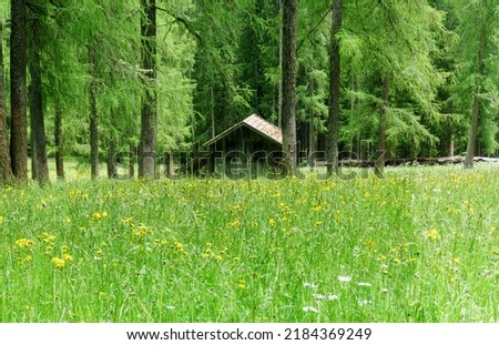 Image, Stock Photo Fischleinbachtal Tourism