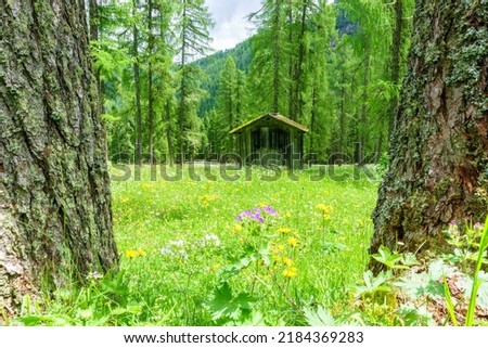 Similar – Image, Stock Photo Fischleinbachtal Tourism