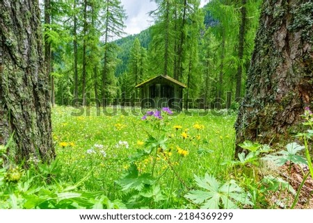 Similar – Image, Stock Photo Fischleinbachtal Tourism