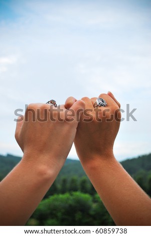 Two hands displaying an oath/I Promise