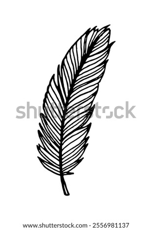 feather isolated black vector drawing silhouette hand drawing sketch bird single feather outline	
