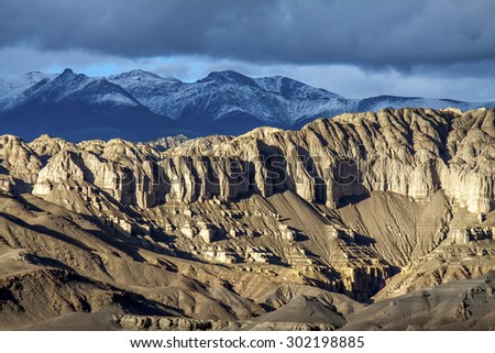 soil forest in Tibet plateau
