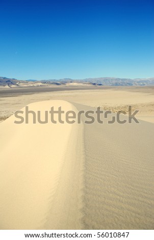 Top of Sand Dune