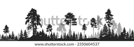 High grey fir trees forest on white silhouette