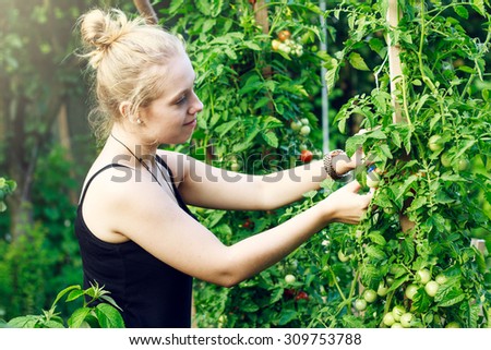 Young woman picking up vegetable in garden