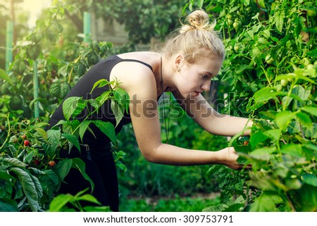 Young woman picking up vegetable in garden
