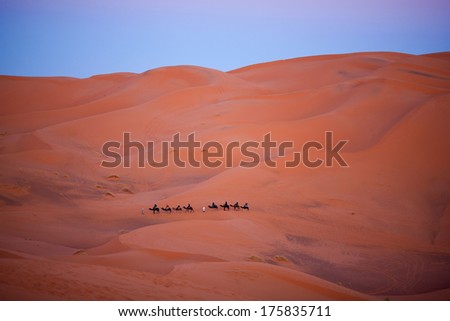Camel trekking in Erg Chebbi, Western Sahara, Morocco
