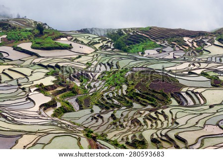 Terraced rice field in water season of Hani ethnic people in Yunnan province, China