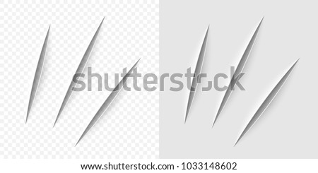 Vector realistic cut with a office knife on paper sheet isolated. Claws animal scratches on transparent background. 