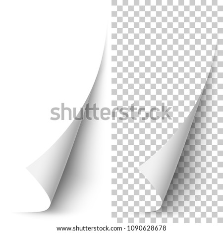 Vector white vertical paper corner rolled up with soft shadow on white and transparent background. 3D page corner curled. Realistic design element.