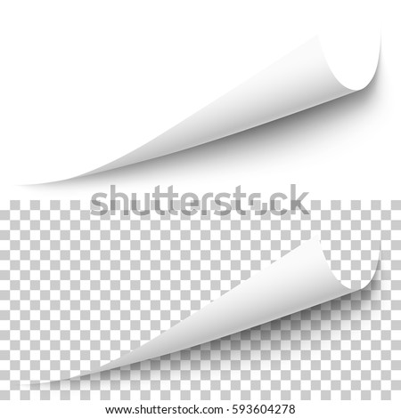 Vector realistic white paper corner with shadow on transparent background. 3D page corner curled. Blank sheet of paper. Design element Stock foto © 