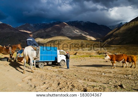 CAJON DEL MAIPO, SANTIAGO - MARCH 09: Huaso (Chilean cowboys) hurdling cattle on March 9, 2014 in Cajon del Maipo, Santiago, Chile
