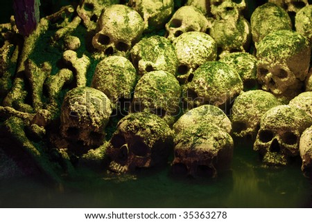 Human sculls, bones and skeletons in green mist