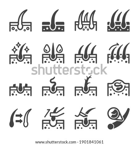 hair icon set,vector and illustration